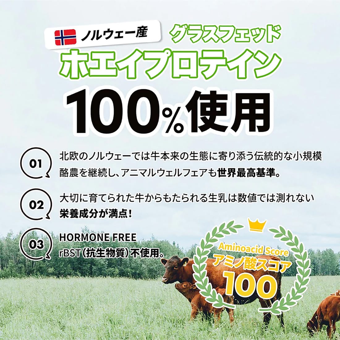 <まとめ買いコース>グラスフェッド自然派ホエイプロテイン 3個セット - gocln