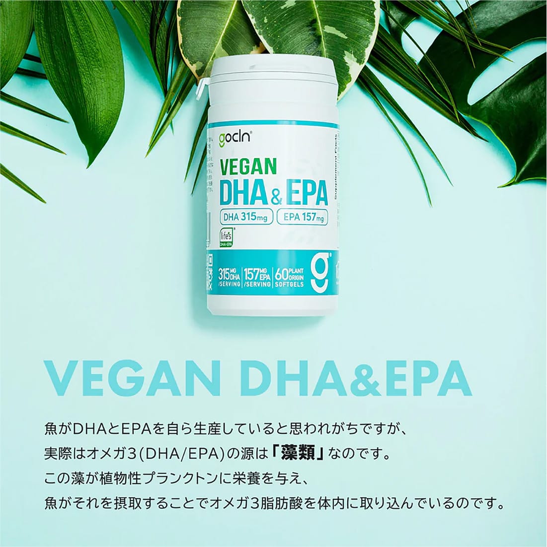 <ヴィーガンセットコース>自然派植物性プロテイン 2個+DHA&EPA2個 - gocln