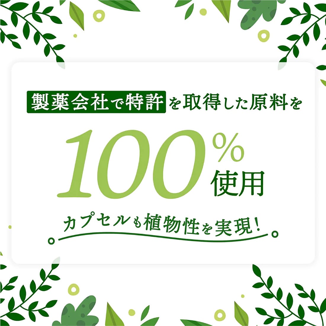 <ヴィーガンセットコース>自然派植物性プロテイン 2個+DHA&EPA2個 - gocln