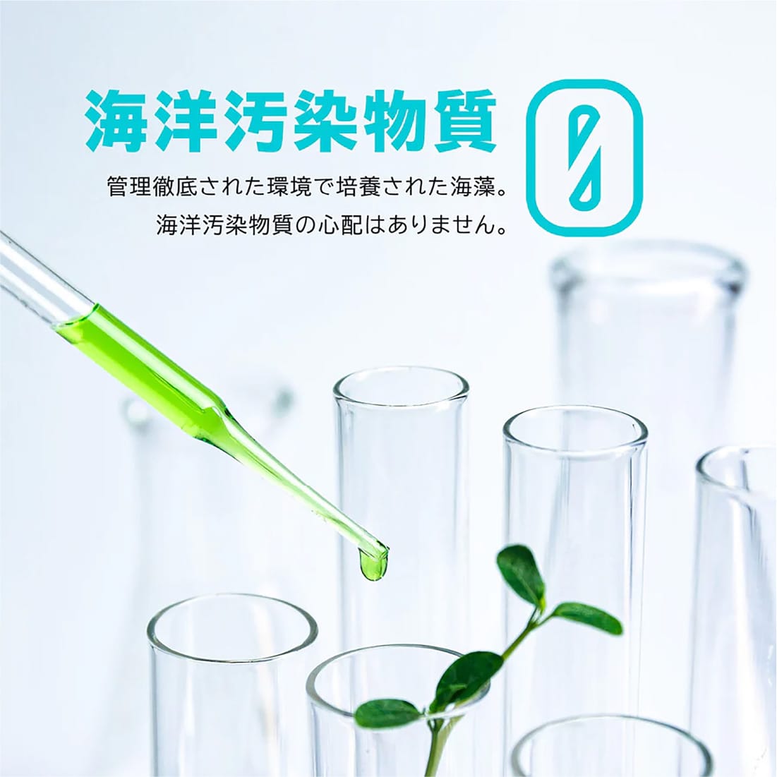 <ヴィーガンセットコース>自然派植物性プロテイン 2個+DHA&EPA2個 - gocln