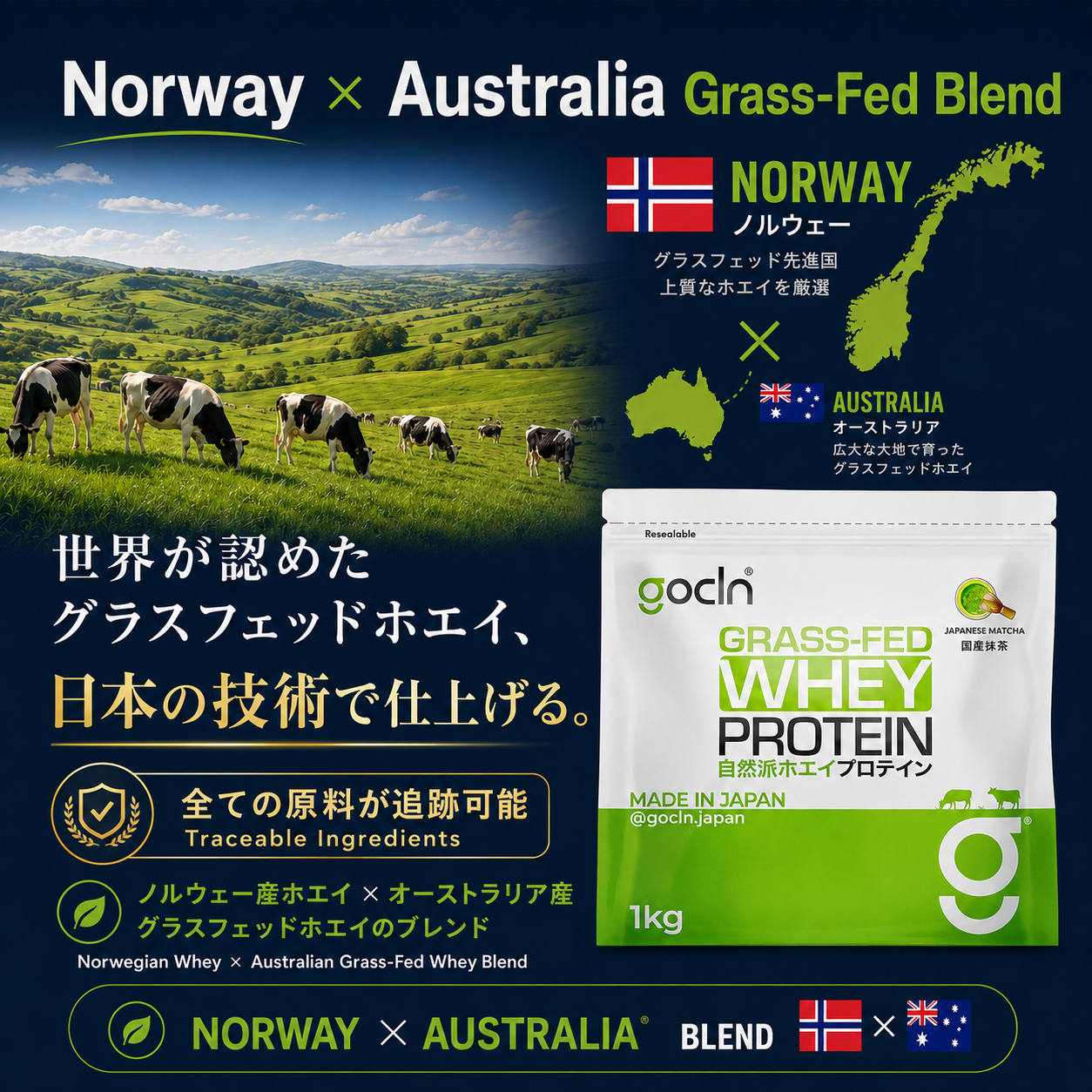 世界最高品質グラスフェッド自然派ホエイプロテイン 1000g - gocln