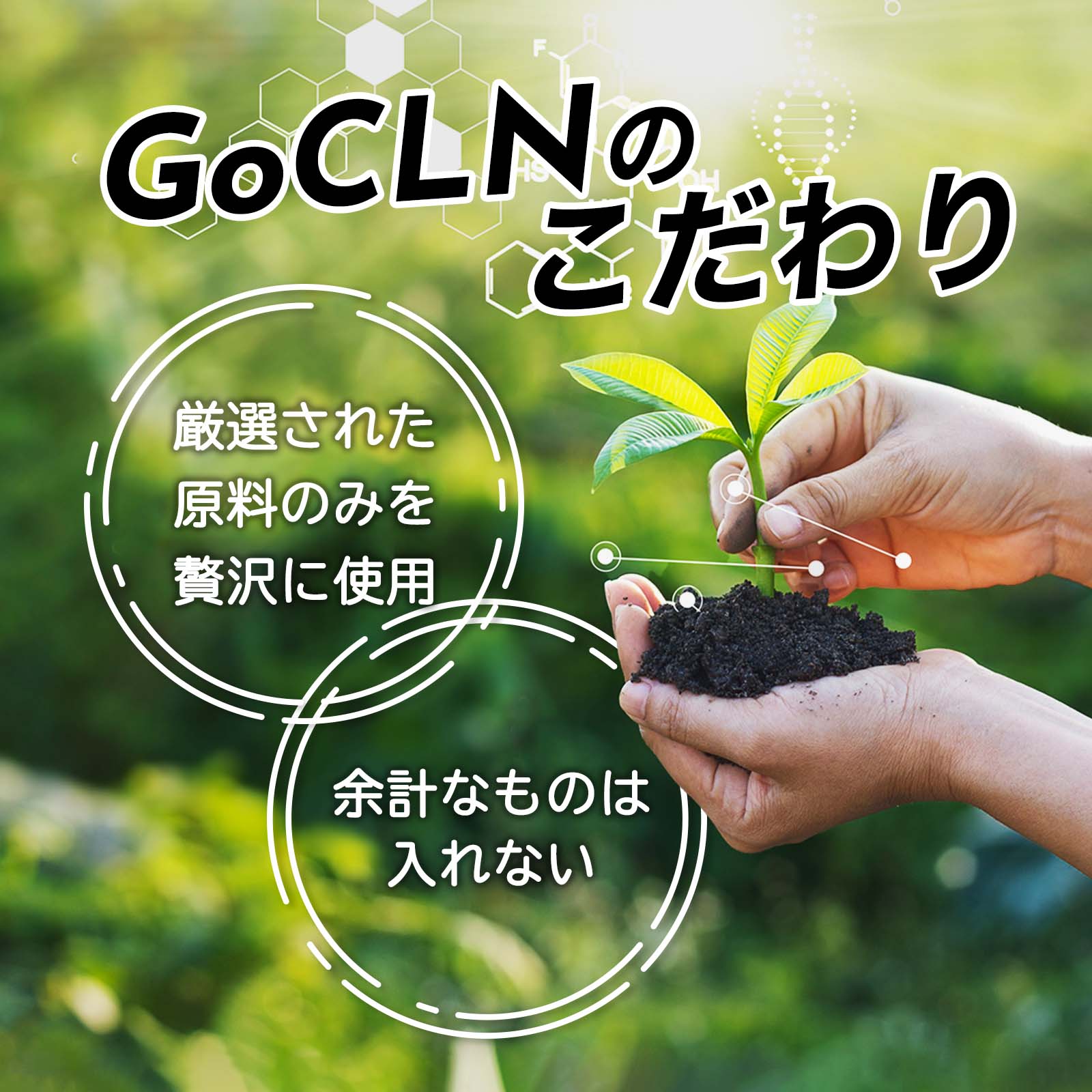 GoCLNのこだわり