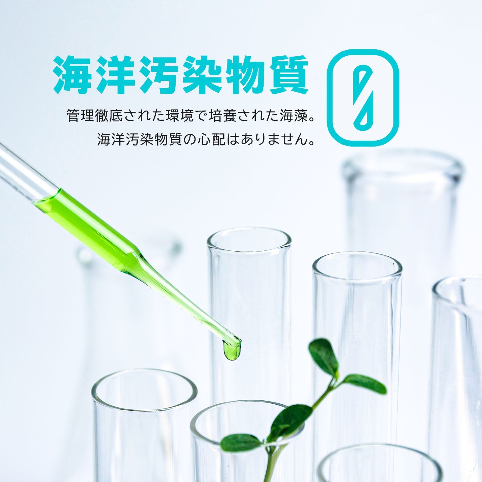DHA & EPA ヴィーガン サプリメント