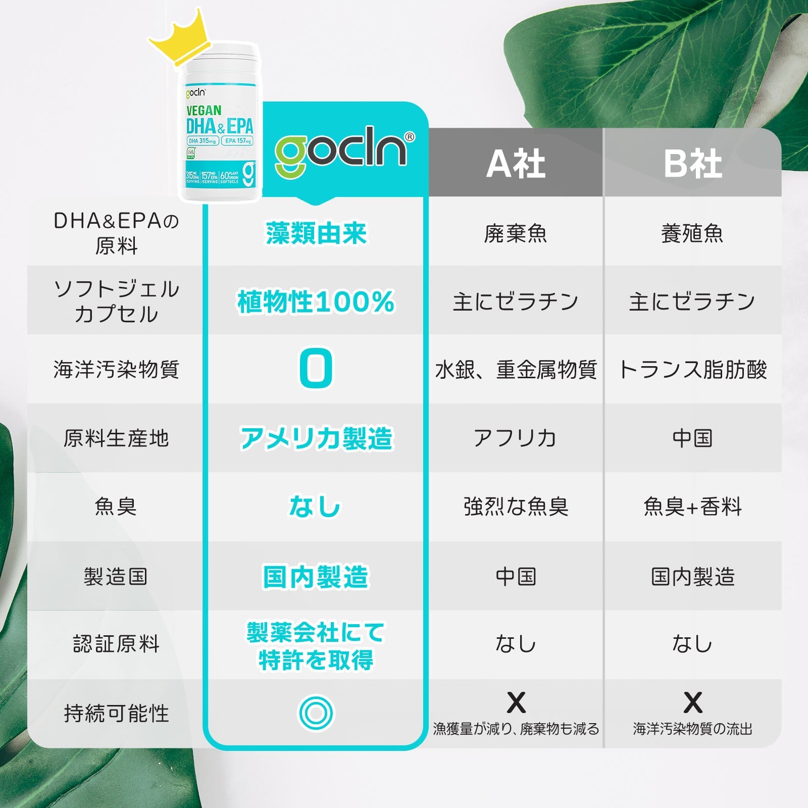 DHA & EPA - 60 ソフトジェルカプセル - Plant Based DHA & EPA - ビーガン OMEGA3 - Fuji Organics