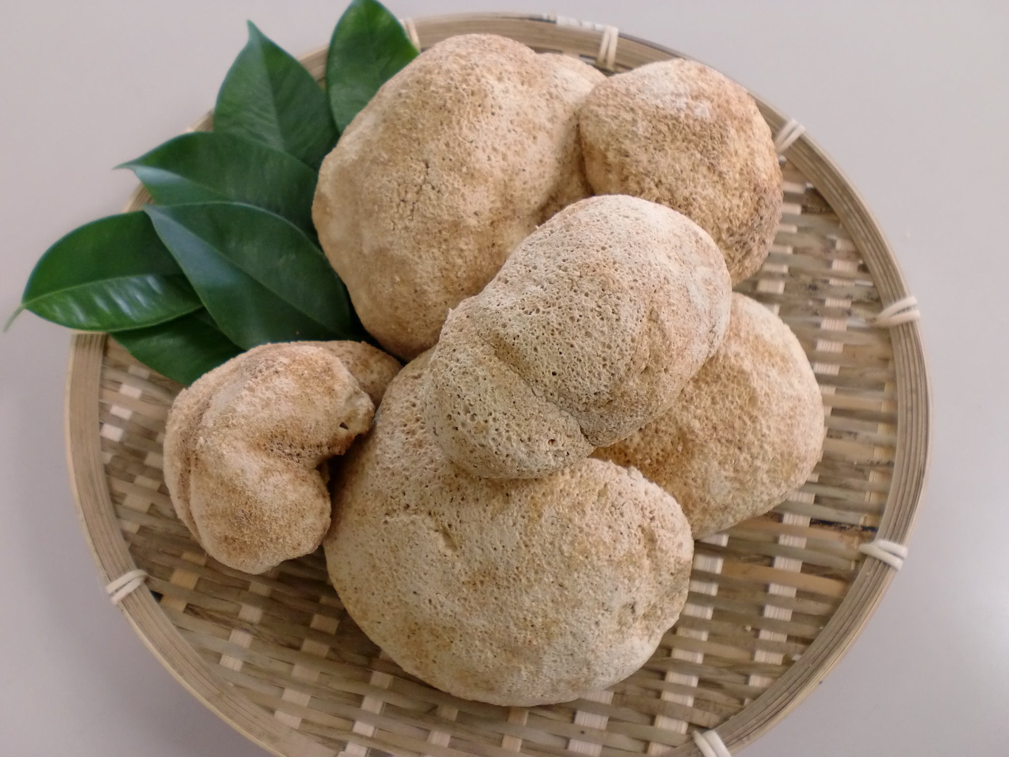 Improving effects of the mushroom Yamabushitake (Hericium erinaceus) on mild cognitive impairment: a double-blind placebo-controlled clinical trial.