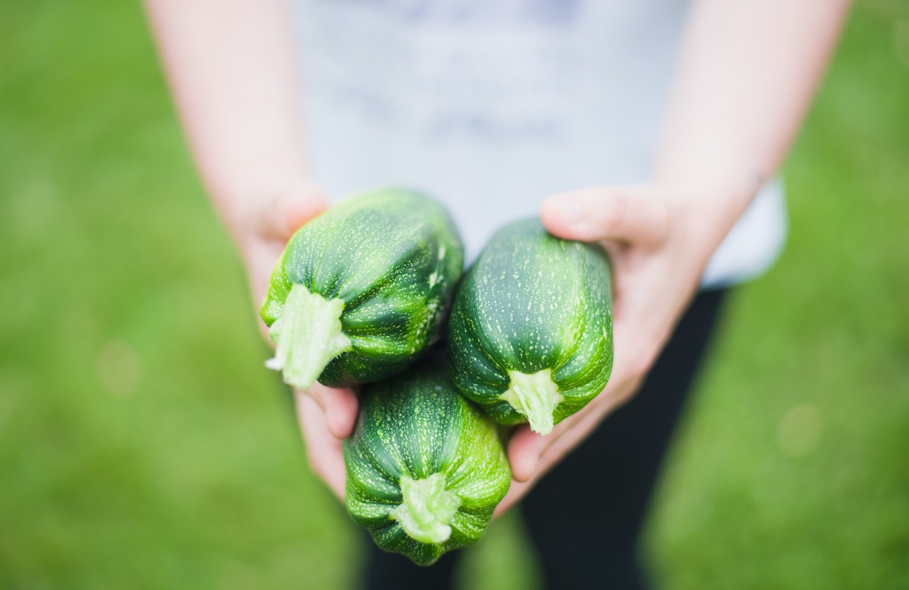 The Profile of Selected Antioxidants in Two Courgette Varieties from Organic and Conventional Production.