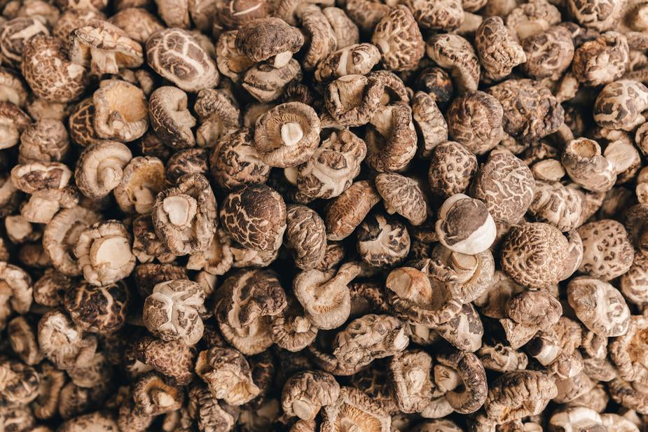 Antioxidant Versus Pro-Apoptotic Effects of Mushroom-Enriched Diets on Mitochondria in Liver Disease.