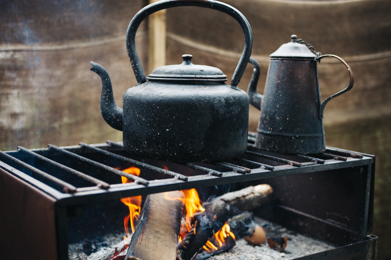 Calcium and iron absorption--mechanisms and public health relevance