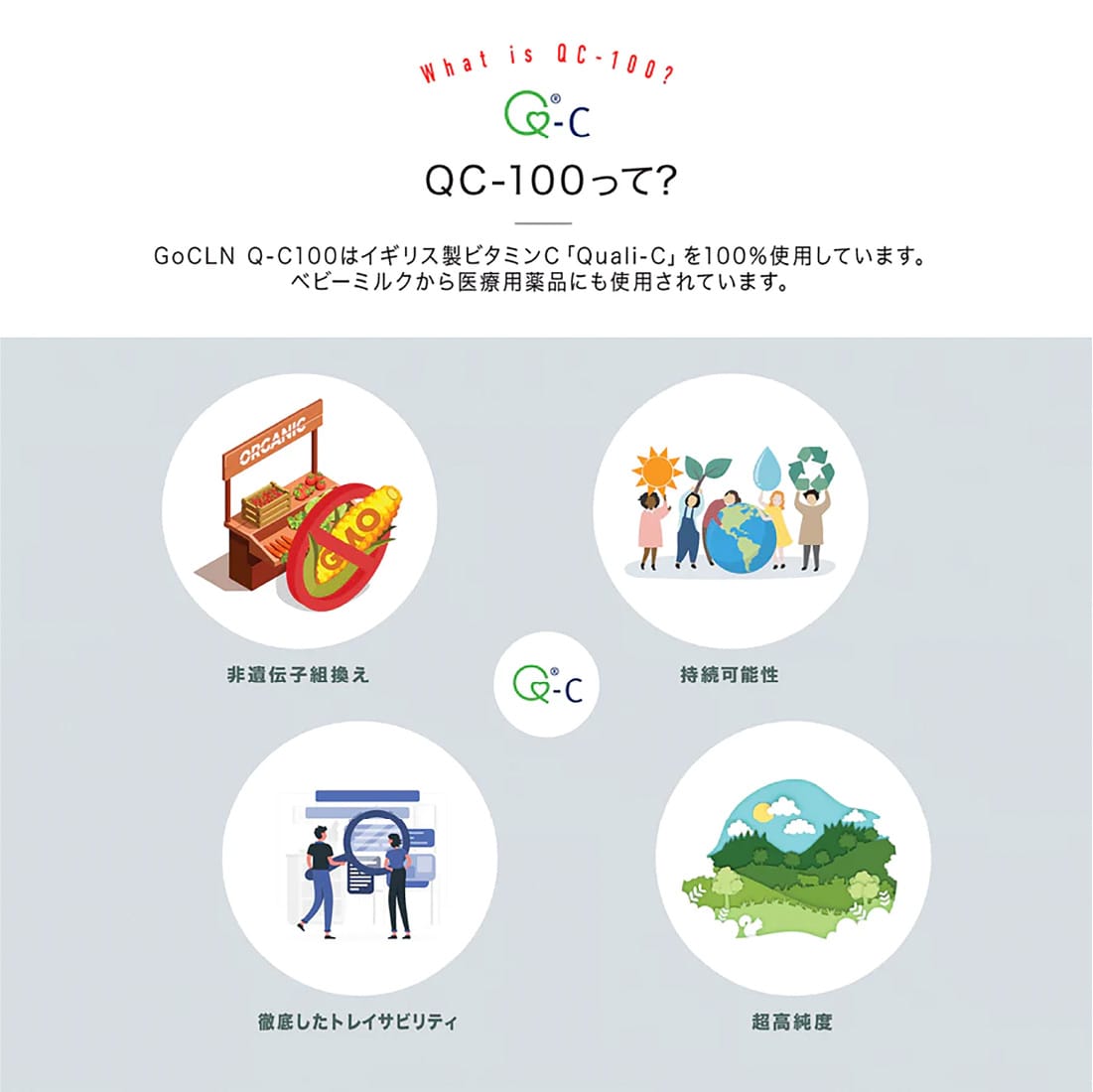 ＜鉄分補給コース＞鉄 2本＋ ビタミンC 2本セット - gocln