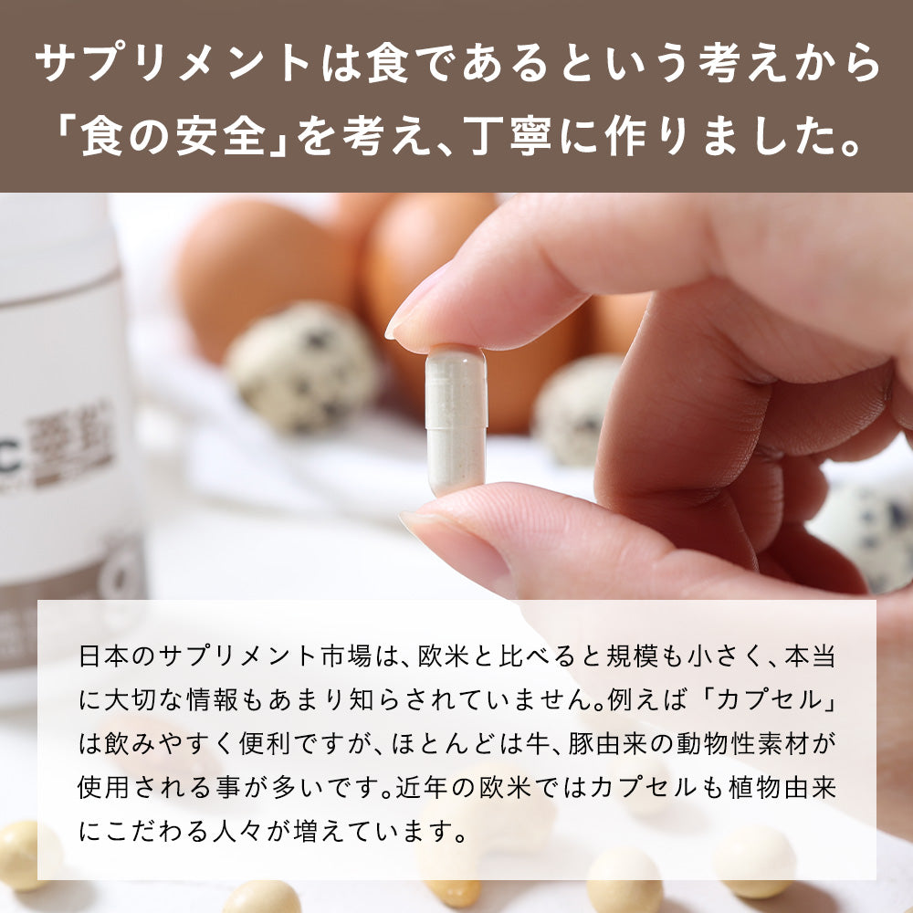 亜鉛 25mg/日 60 カプセル