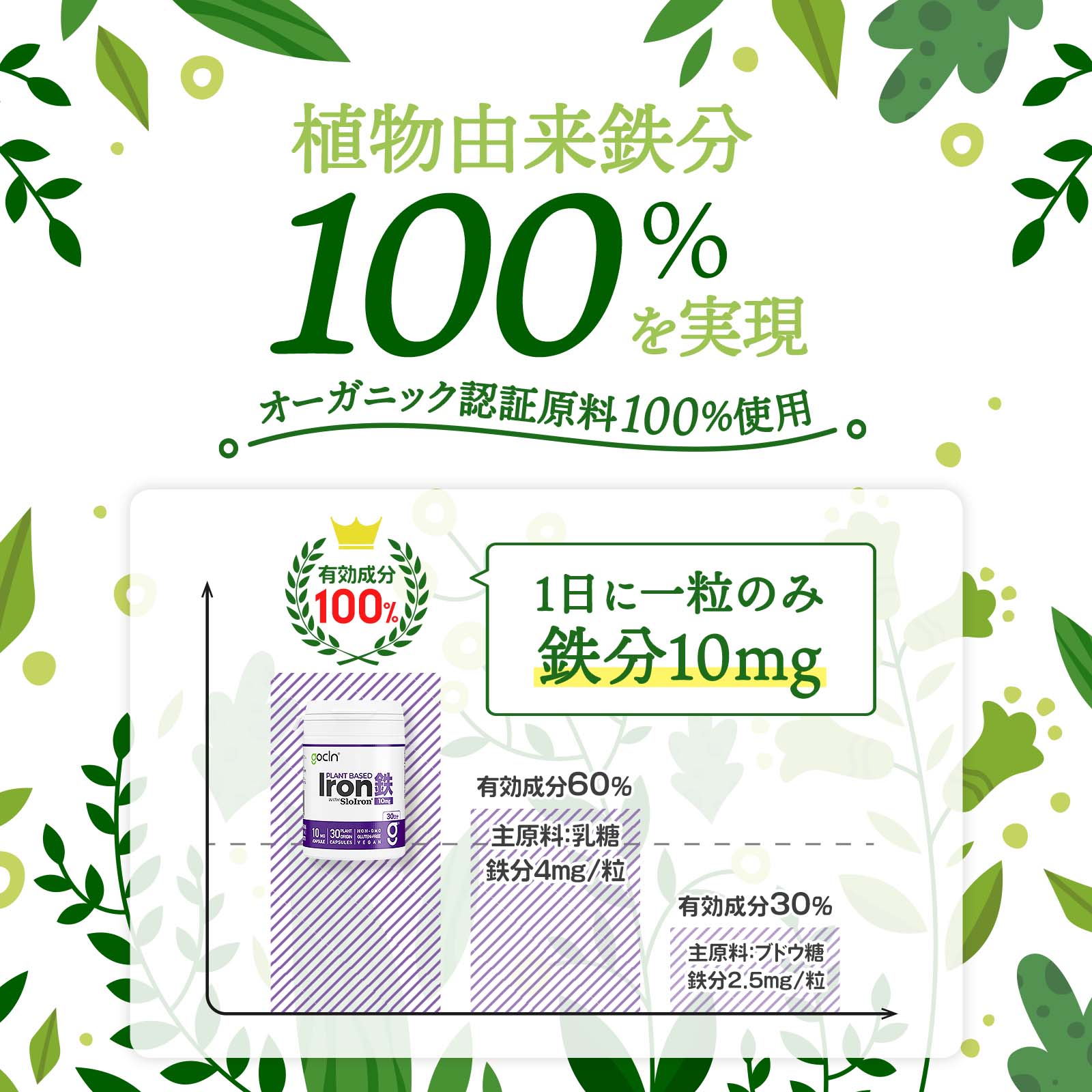 鉄分サプリメント