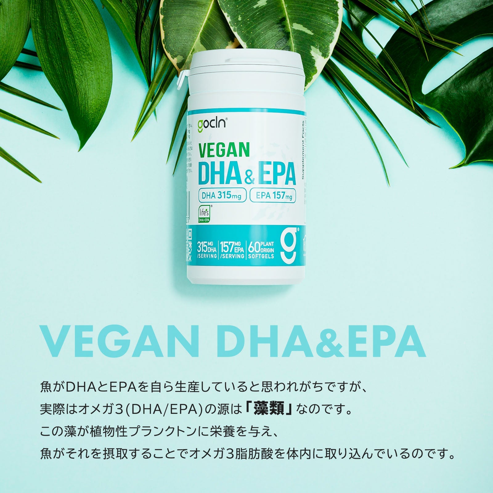DHA & EPA  ヴィーガン サプリメント 